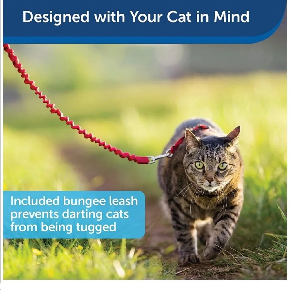 Pet safe come with me kitty harness and bungee leash blue medium